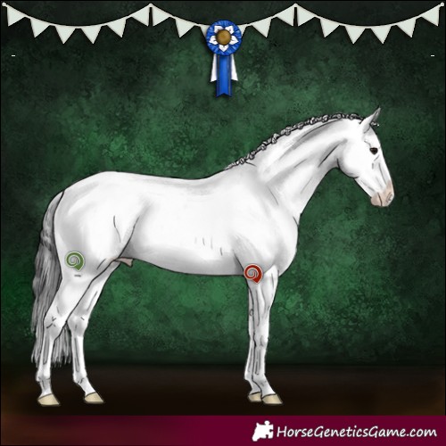 Horse Color:Grullo Sabino Rabicano Brindle 