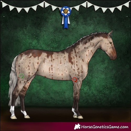 Horse Color:Silver Brown Dun Rabicano Brindle 
