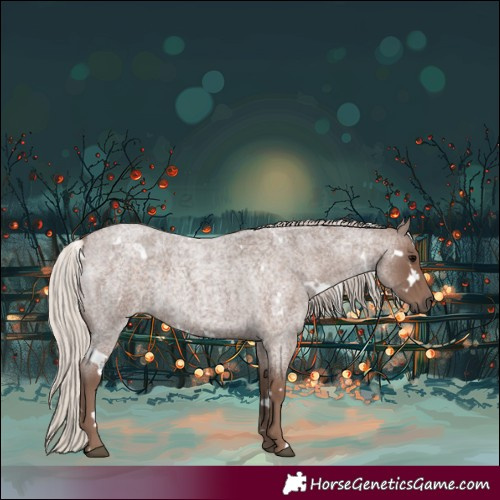 Horse Color:White Spotted Silver Blue Roan 