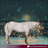 Horse Color:White Spotted Silver Blue Roan 