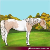 Horse Color:Silver Blue Roan Pearl Tobiano Frame 