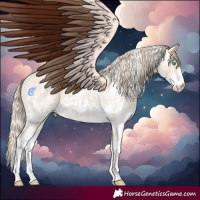 Horse Color:Perlino Sabino  and Perlino Sabino Rabicano 