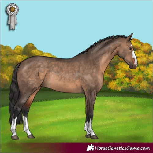 Horse Color:Brown Dun Rabicano 