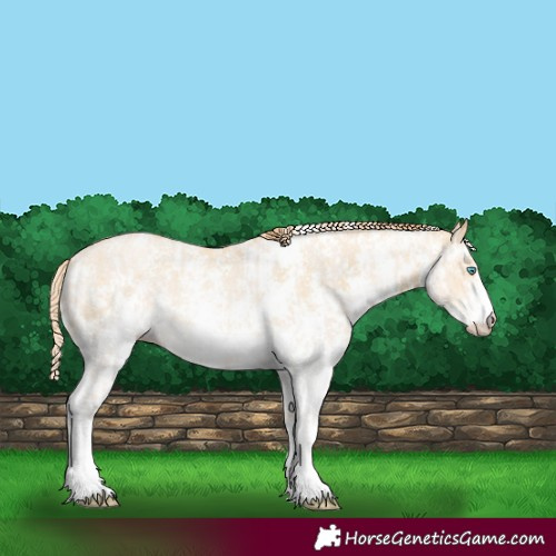 Horse Color:Perlino Sabino and Buckskin Pearl Sabino