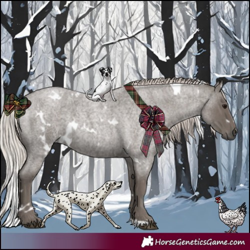 Horse Color:White Spotted Silver Blue Roan 