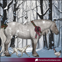 Horse Color:White Spotted Silver Blue Roan 
