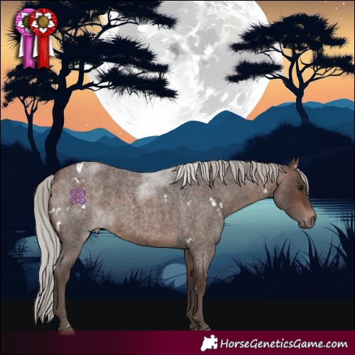 Horse Color:White Spotted Silver Bay Roan