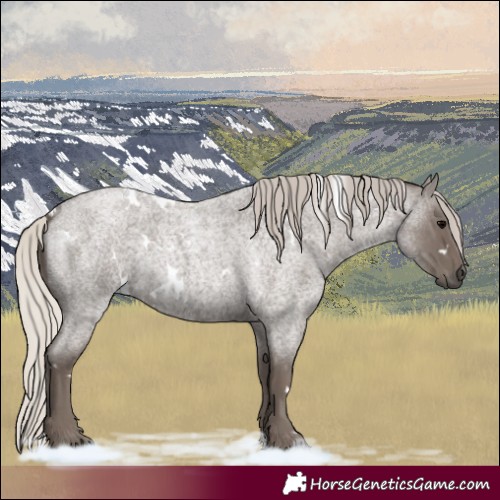 Horse Color:White Spotted Silver Blue Roan 
