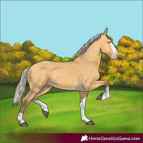 Horse Color:Silver Buckskin Dun Splash