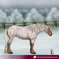 Horse Color:White Spotted Silver Blue Roan 