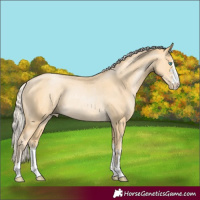 Horse Color:Palomino Pearl Rabicano 