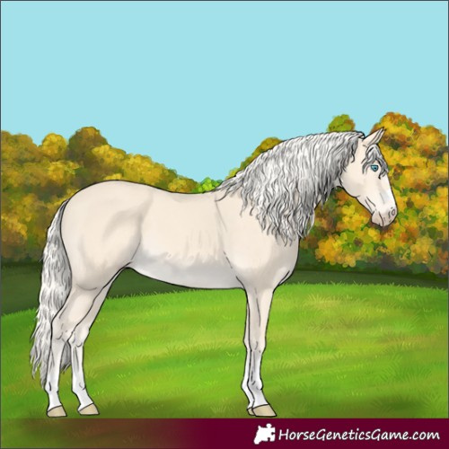Horse Color:Cremello 