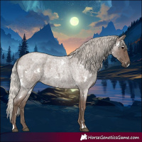 Horse Color:White Spotted Silver Blue Roan 