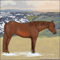 Horse Color:Chestnut Tobiano Rabicano 