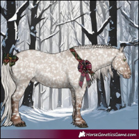 Horse Color:Silver Grullo Roan Appaloosa Rabicano 