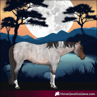 Horse Color:Brown Roan Tobiano 