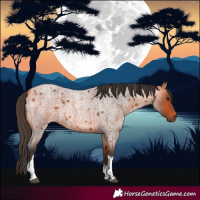 Horse Color:Bay Roan Tobiano