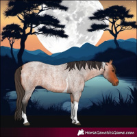 Horse Color:Bay Roan Tobiano