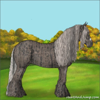 Horse Color:Black and Silver Black