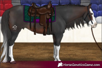 Horse Color:Brown Splash 
