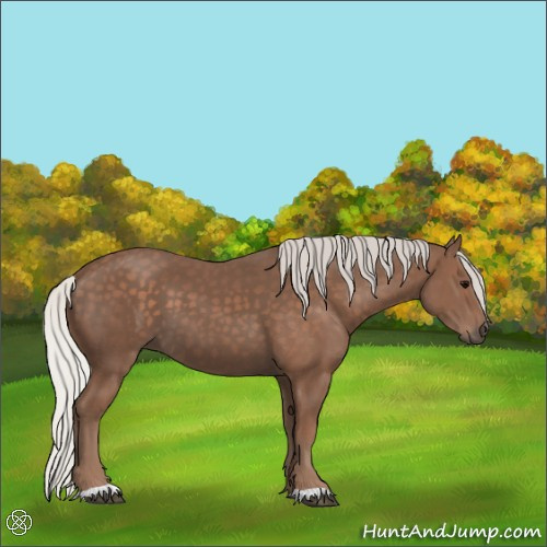 Horse Color:Silver Black 