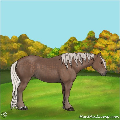 Horse Color:Silver Black 