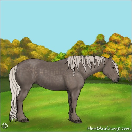Horse Color:Silver Black 