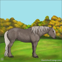 Horse Color:Silver Black 