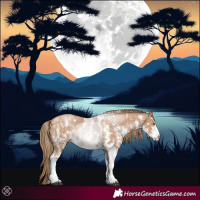 Horse Color:Black Pearl Sabino 
