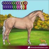 Horse Color:Silver Classic Champagne 