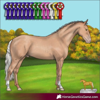 Horse Color:Silver Classic Champagne 