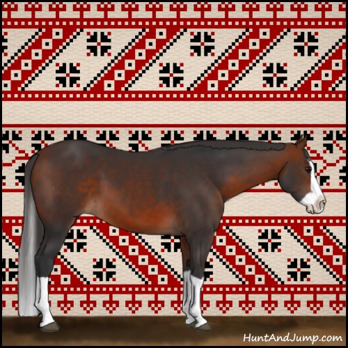 Horse Color:Bay Splash 