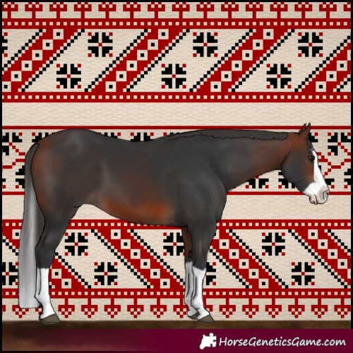 Horse Color:Bay Splash 