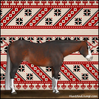 Horse Color:Bay Splash 