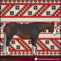 Horse Color:Bay Splash 