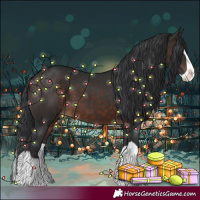 Horse Color:Brown Splash