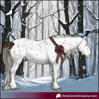 Horse Color:Amber Champagne Sabino Tobiano Leopard  and Bay Sabino Tobiano Leopard 