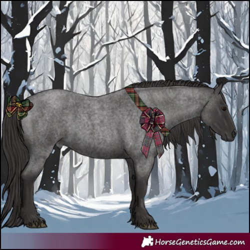 Horse Color:Smoky Blue Roan 