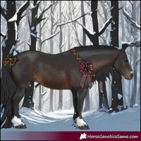 Horse Color:Brown 