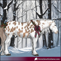 Horse Color:Bay Dun Tobiano Appaloosa 