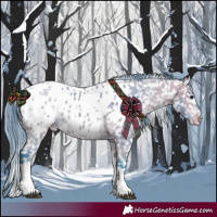 Horse Color:Watercolor Buckskin Tobiano Near Leopard 
