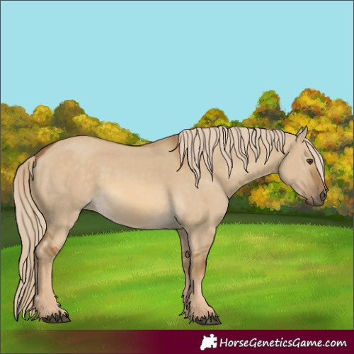 Horse Color:Chocolate Palomino Dun 