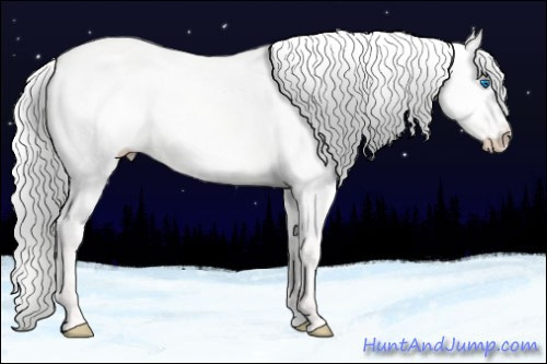 Horse Color:Silver Perlino Dun Splash Frame 