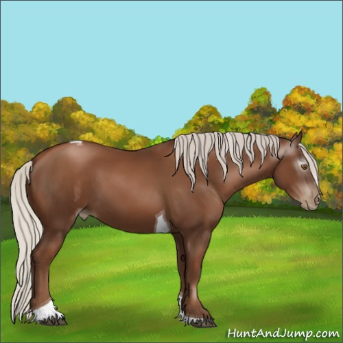 Horse Color:Gray Silver Black Pearl Tobiano