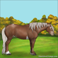 Horse Color:Gray Silver Black Pearl Tobiano