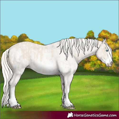 Horse Color:Cremello Sabino  and Cremello Roan Sabino 