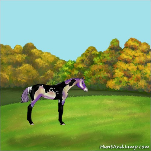 Horse Color:Watercolor Red Onyx Tobiano 