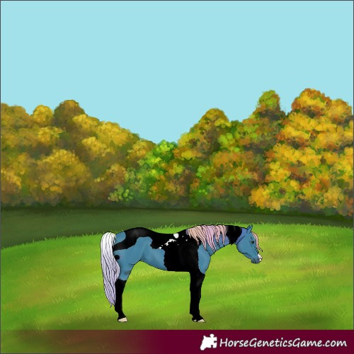 Horse Color:ERROR: UNKNOWN ANOMALY