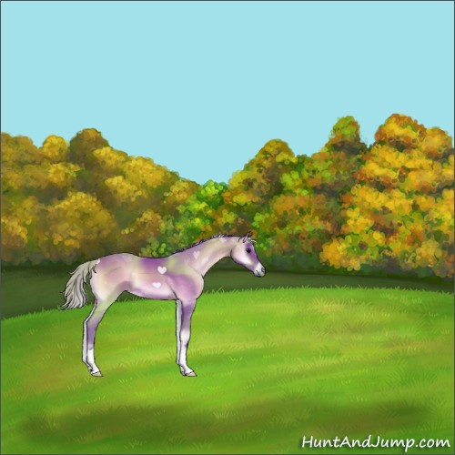 Horse Color:Watercolor Bay Onyx 