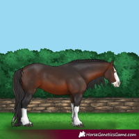 Horse Color:Brown Splash 